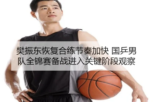 樊振东恢复合练节奏加快 国乒男队全锦赛备战进入关键阶段观察